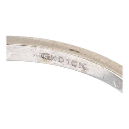 10K White Gold Diamond Band
