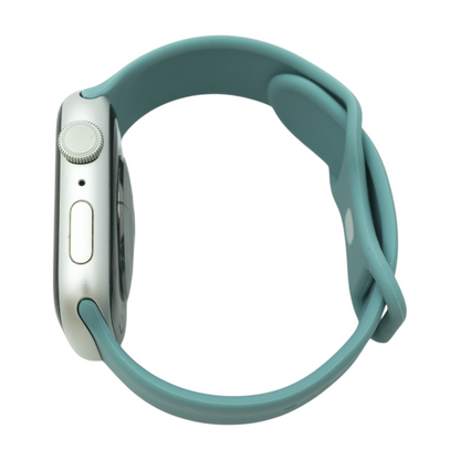 45mm Series 9 Starlight Smartwatch Blue Band S/M