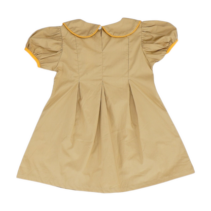 Brown Dress