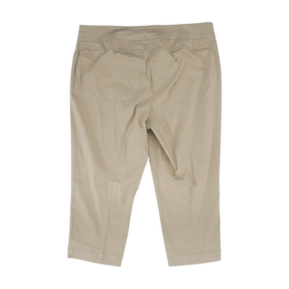 Beige Plus Regular Pants