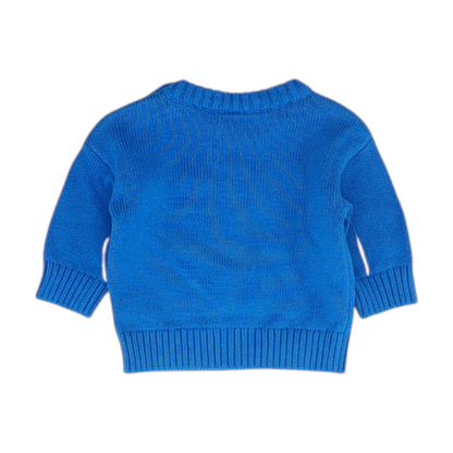Blue Graphic Pullover Sweater
