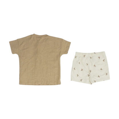 Tan Set