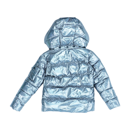 Silver Jacket