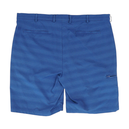 Blue Striped Active Shorts