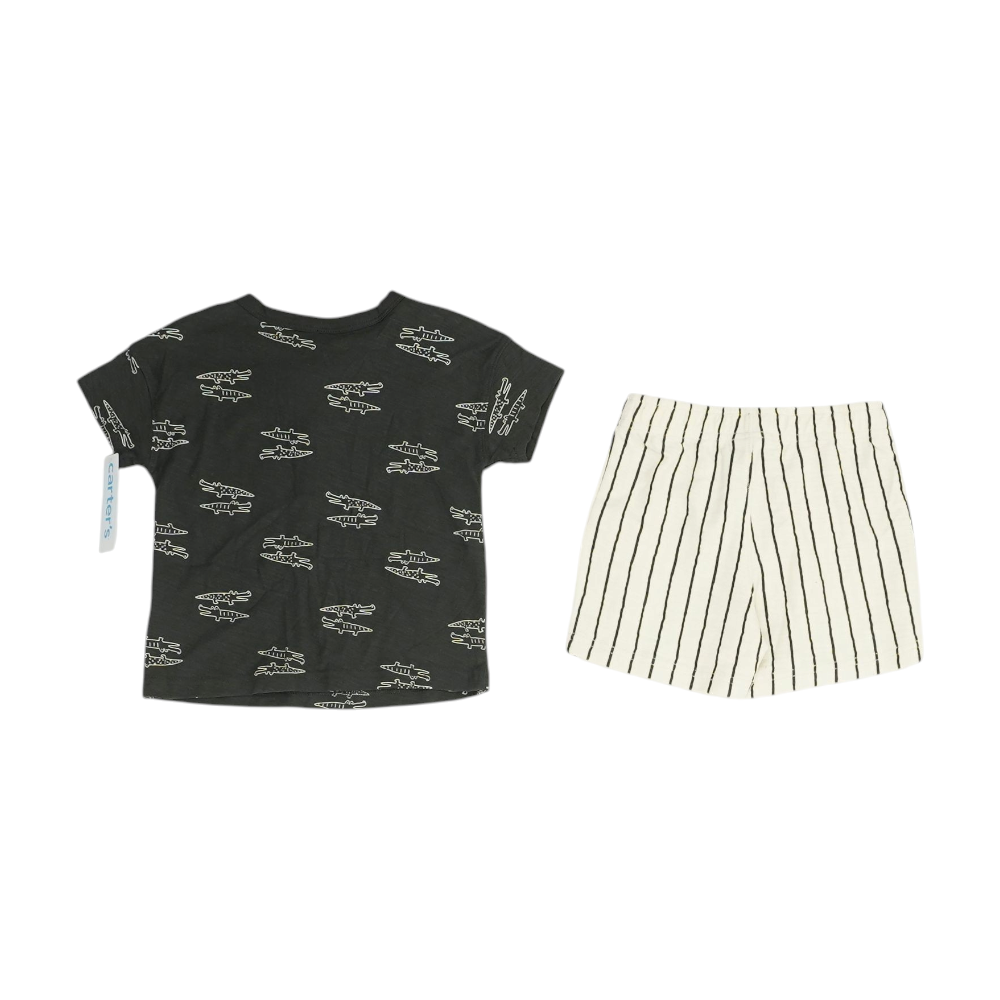 Charcoal Graphic Short Sleeve Set