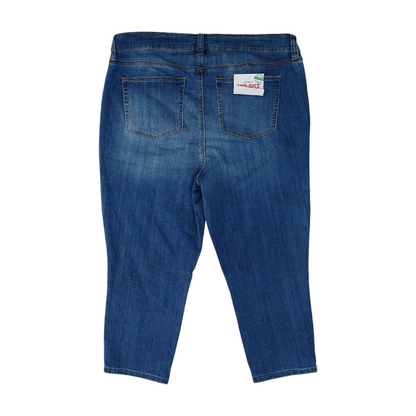 Blue Plus Skinny Jeans
