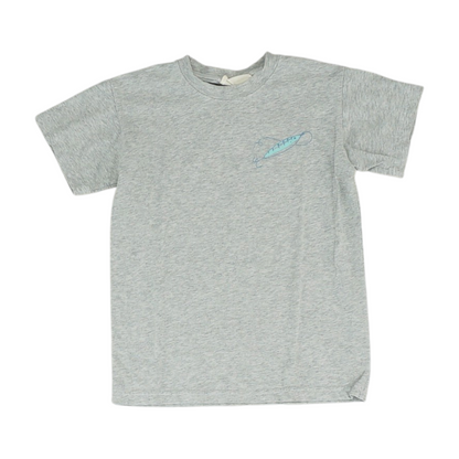 Gray T-Shirt