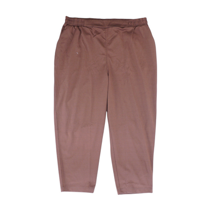 Brown Plus Regular Pants