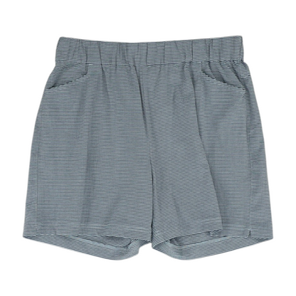 Blue Striped Chino Shorts