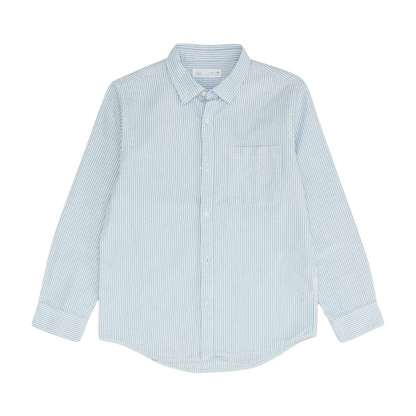 Blue Striped Long Sleeve Button Down