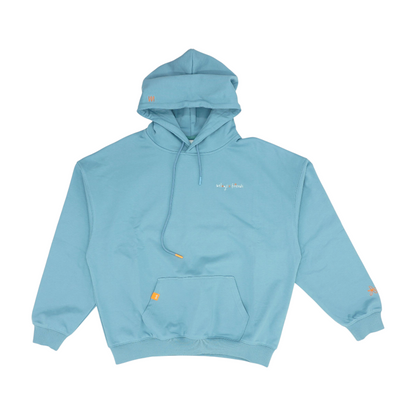 Blue Solid Hoodie Pullover