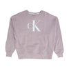 Purple Solid Sweatshirt Pullover