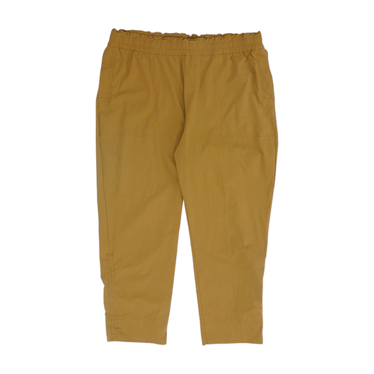 Tan Regular Pants