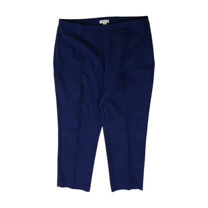 Blue Plus Regular Pants