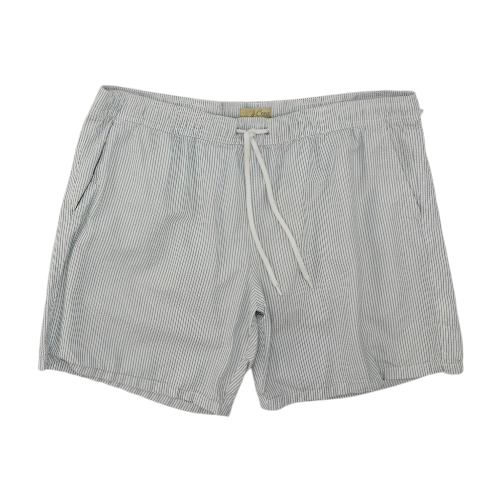 Blue Striped Swim Bottom