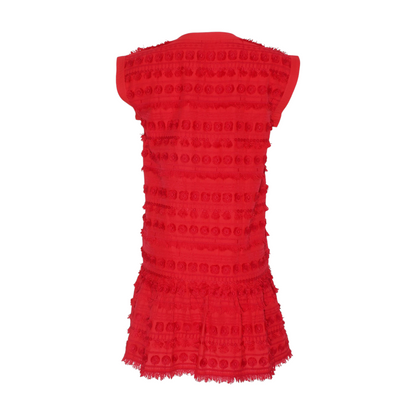 Red Striped Mini Dress