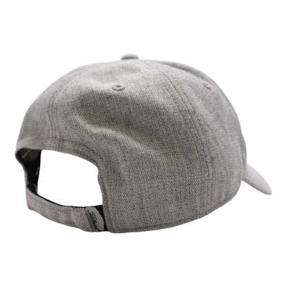 Gray Ballcap Hat