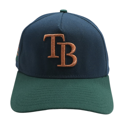 Navy Tampa Bay Rays Ballcap