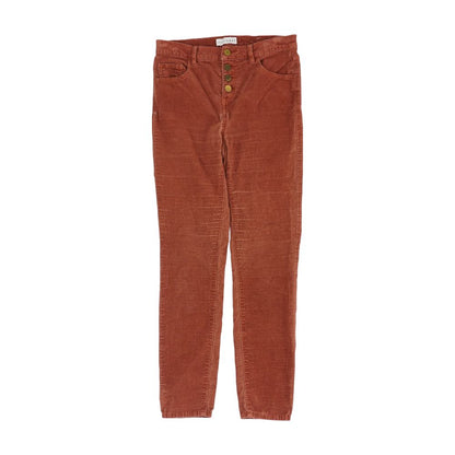 Maroon Solid Pants