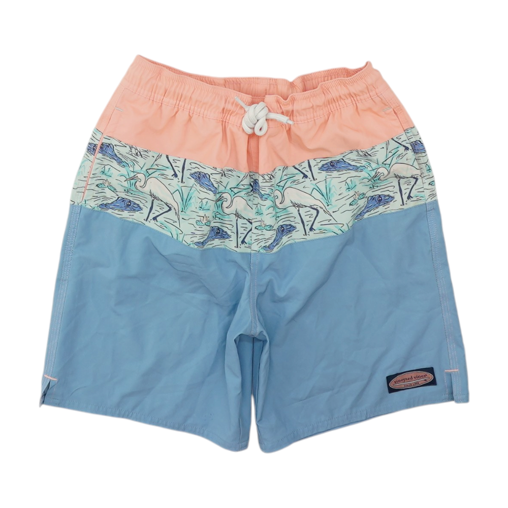 Blue Color Block Swim Bottom
