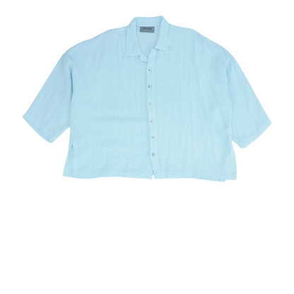 Blue Button Down