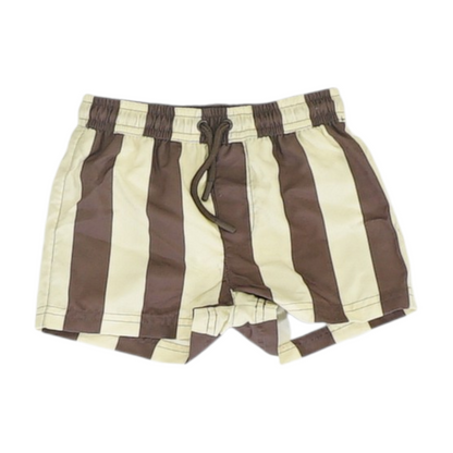 Brown Striped Active Shorts