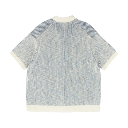 Blue Striped Short Sleeve Button Down