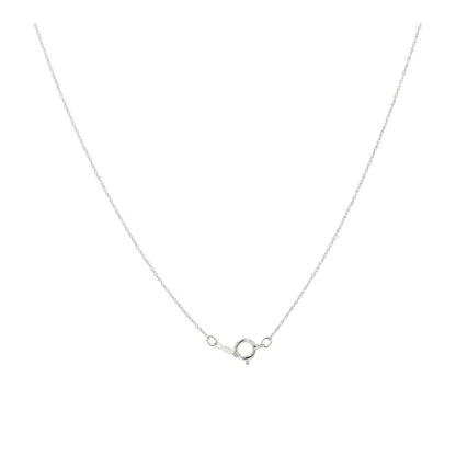 14K White Gold Oval Blue Sapphire With Diamond Accents Circle Pendant Necklace