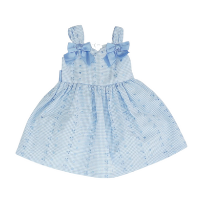 Blue Check Dress