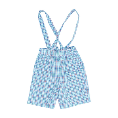 Multi Check Chino Shorts