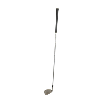 Sim2 P Iron
