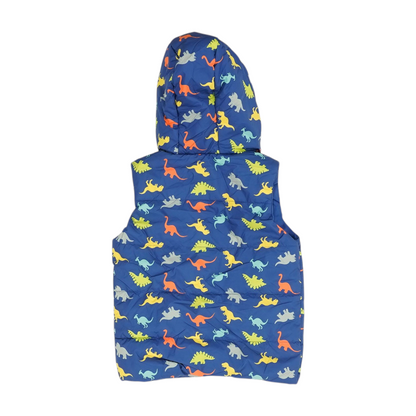 Blue Graphic Vest