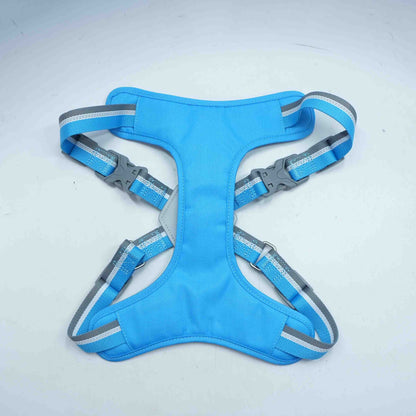 Blue Dog Harness