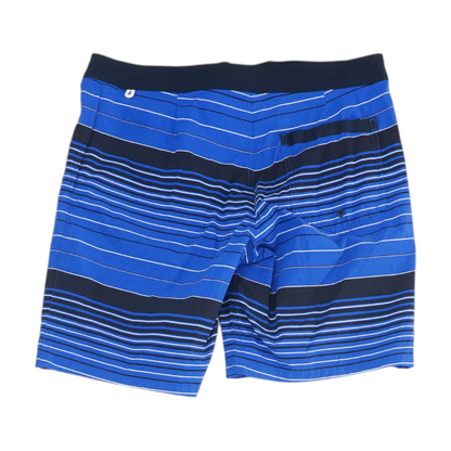 Blue Striped Swim Bottom