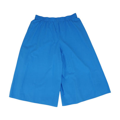 Blue Solid Pants