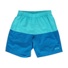 Blue Color Block Swim Bottom