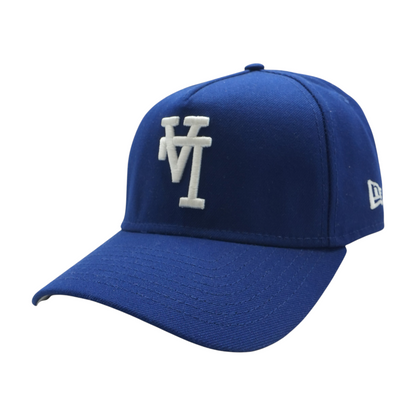 Blue Los Angeles Dodgers Ballcap Hat