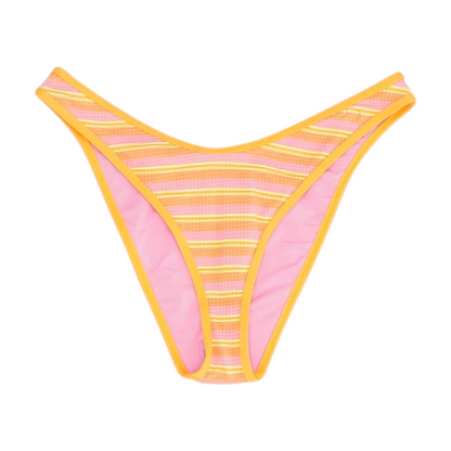 Multi Striped Swim Bottom