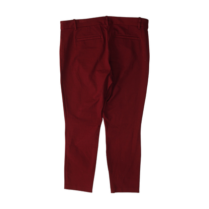 Maroon Regular Pants