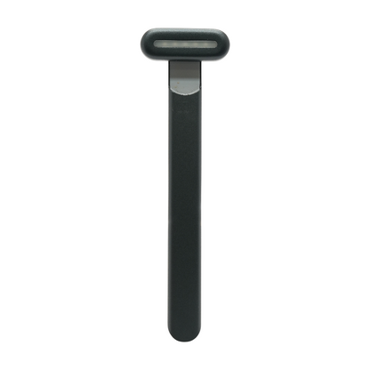 Black 4-in-1 Skincare Wand