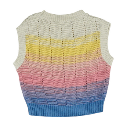 Multi Color Block Vest Sweater