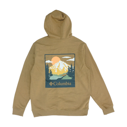 Brown Solid Hoodie Pullover