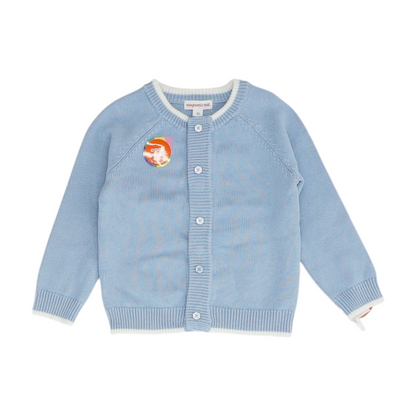 Blue Cardigan Sweater