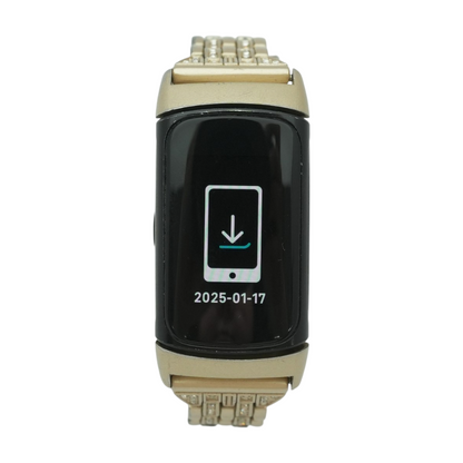 20mm Charge 6 Silver Activity Tracker Silver Band S/M