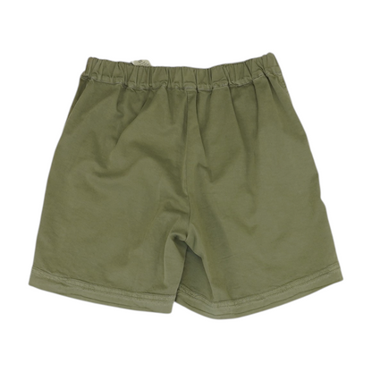 Green Solid Chino Shorts