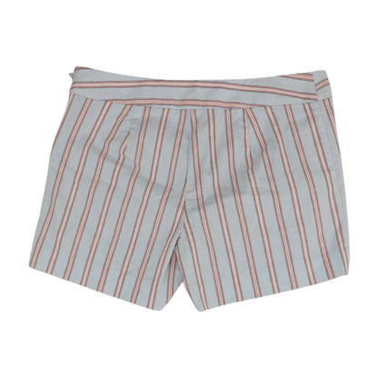 Blue Striped Chino Shorts