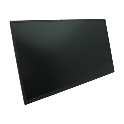 19" Portable Monitor
