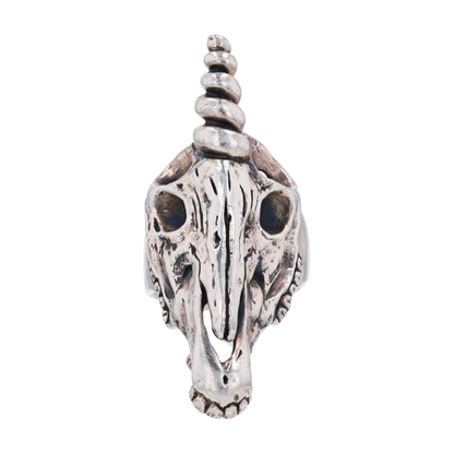 Sterling Silver Fashion Ring