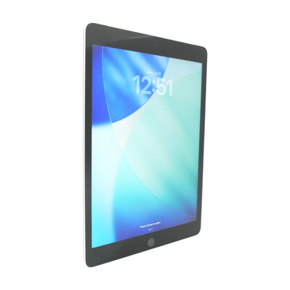iPad 9 10.2" Silver 9th Gen 256GB Cellular Tablet