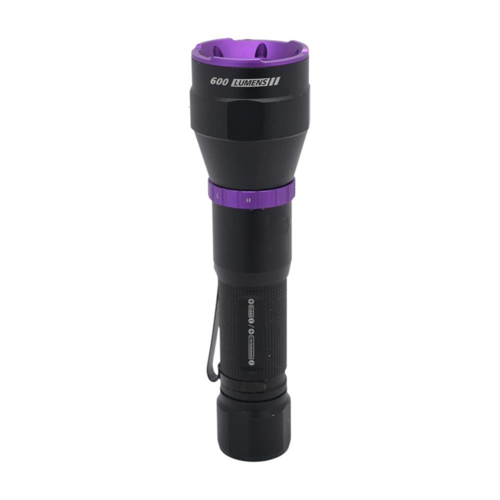 Dual Power Flashlight